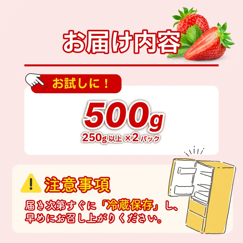 いちご 500g 紅ほっぺ いちご