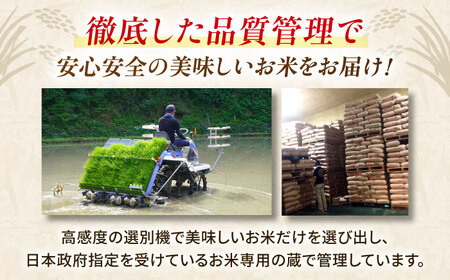 令和7年産3回定期便森のくまさん白米10kg(5kg×2) 白米定期便ZBI038