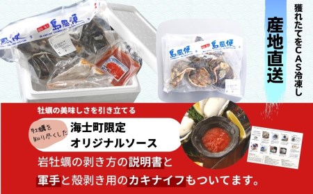 【海士のいわがき】殻付き LLサイズ 12個 岩牡蠣 生食可 新鮮クリーミー 冷凍 牡蛎 牡蠣 かき カキ 岩牡蠣 いわがき CAS CAS冷凍 父の日 母の日 バーベキュー ギフト