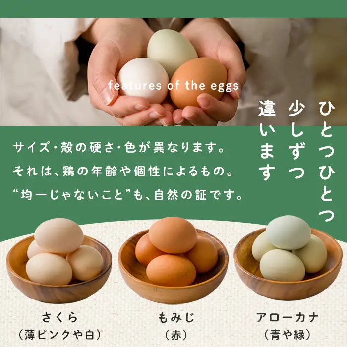 鶏とわたしの平飼い玉子 30個(10個入り×3パック) たまご 卵 卵焼き 生卵 ゆで卵 卵かけごはん 鶏卵 鶏 平飼い 【鶏とわたし】tm545