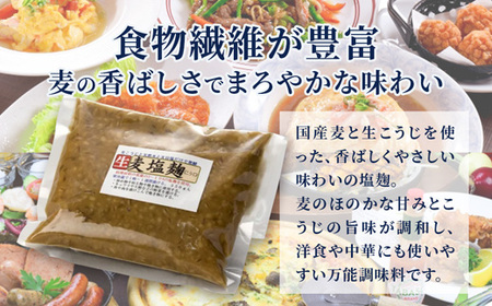 【国産生麹使用】 発酵調味料 4点セット 塩麹・麦塩麹・醤油麹・玉ねぎ塩麹 各200〜250g