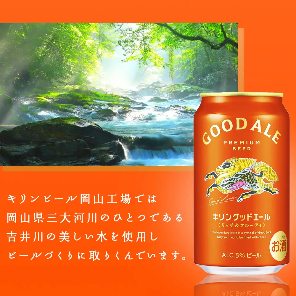 【定期便3回】キリン グッドエール ＜岡山市工場産＞ 500ml 缶 × 24本 お酒 晩酌 飲み会 宅飲み 家飲み 宴会 ケース