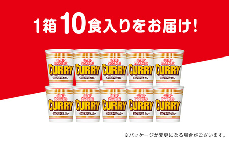 日清 カレーヌードル 10食