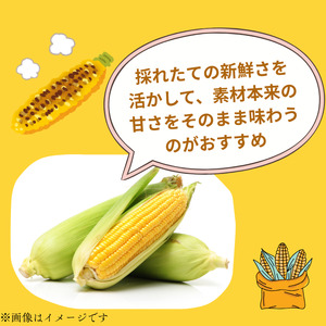 東庄町産　朝採り　とうもろこし（おおもの）　5kg ／ とうもろこし トウモロコシ おおもの 朝採り 産地直送 千葉県 東庄町 送料無料