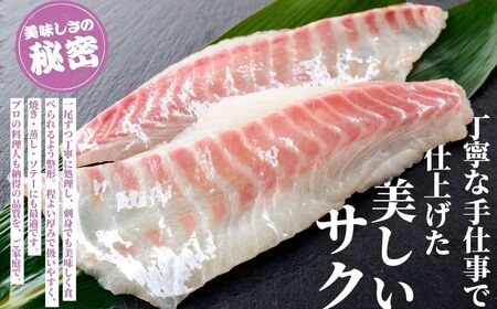 瀬戸内「天然」真鯛 お刺身用 1kg 柵でお届け（急速冷凍）便利な小分け 100gパック 【鯛 マダイ タイ 鯛めし 鯛茶漬け ブロック 海鮮 魚介 即日加工 鮮度抜群 個包装 おせち 正月 正月料理】
