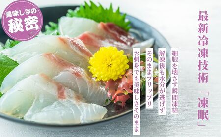 瀬戸内 天然真鯛 丸ごと姿(うろこ・内臓除去済) 2～3匹入り 合計1kg｜たい タイ 鯛 真鯛 急速冷凍 下処理済み 刺身 焼き魚 塩焼き カルパッチョ【お正月 おせち お食い初め 百日祝い 祝い事におすすめ】