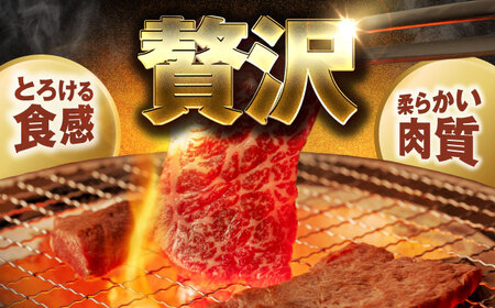 飛騨牛 焼肉用(カルビ) 300g 【土岐市観光協会】[MHI003]