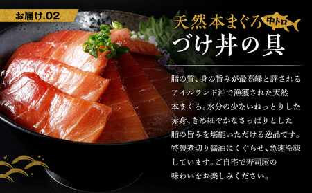 天然本まぐろ 中とろ 2種 食べ比べ セット（C209） M019-023 冷凍 マグロ