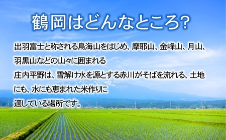 【令和8年産先行予約】特別栽培米つや姫 10kg (5kg×2袋)×6ヶ月【定期便】　鶴岡協同ファーム 