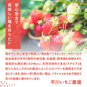 平川いちご農園 玄海町産 冷凍いちご 4kg【A184】