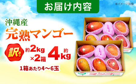 【2026年発送】訳あり 完熟マンゴー 約4kg 家庭用マンゴー 