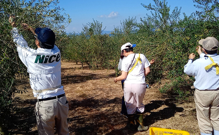 オリーブオイル 小豆島の恵み 100％小豆島産 手摘み エキストラバージンオリーブオイル 85g×2本セット