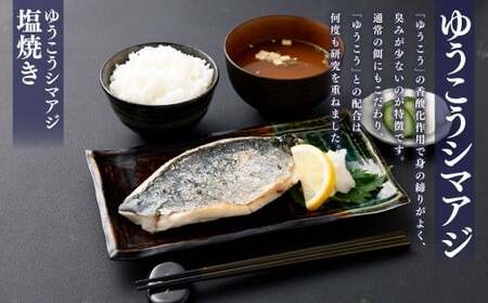 【14営業日以内発送】【premiumfishbrand】 ゆうこうシマアジ （活〆） ×1尾 （約1kg） シマアジ しまあじ 鯵 アジ あじ ゆうこう ブランド魚 魚 海鮮 九州 長崎県 長崎市 冷蔵