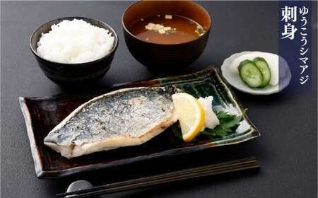 【14営業日以内発送】【premiumfishbrand】 ゆうこうシマアジ （活〆） ×1尾 （約1kg） 、 ゆうこう真鯛 （活〆） ×1尾 （約1.5kg） ／ シマアジ しまあじ 鯵 アジ あじ 真鯛 真鯛 マダイ まだい 鯛 タイ たい ゆうこう ブランド魚 魚 海鮮 九州 長崎県 長崎市 冷蔵