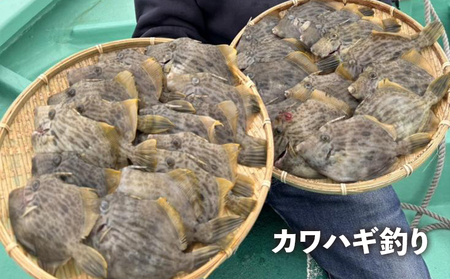 釣り船 ひらの丸　乗合船割引券　1万円分