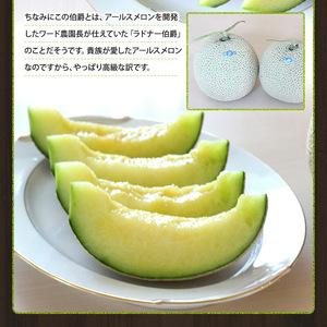 【静岡県浜松市産】アールスメロン約1.5kg以上×2玉  白等級 【配送不可：離島】メロン melon フルーツ 果物 静岡 浜松市