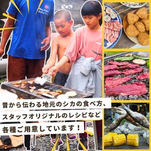 ジビエ BBQ 体験 チケット 1名様分 山梨県 早川町 本流堂 バーベキュー 山の幸 自然体験 手ぶら 絶景 ファミリー キャンプ風 地元野菜 川魚 アウトドア アクティビティ 無添加 天然食材 食育 子連れ 親子