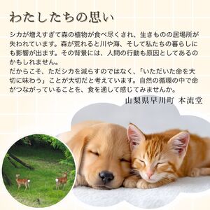 ペット用鹿肉ジャーキー30ｇ×3個セット