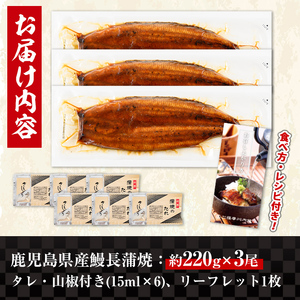 i1078-B-us 【2026年丑の日までに配送】＼特大サイズ／鹿児島県産 うなぎ蒲焼 3尾（約220g×3・計約660g） たれ 山椒付きうなぎ 鰻 ウナギ 特大 特大サイズ 約220g 蒲焼き 国産 鹿児島県産 焼きたて 生産量日本一 真空パック おかず 晩御飯 特別な日 土用の丑の日 【薩摩川内鰻】