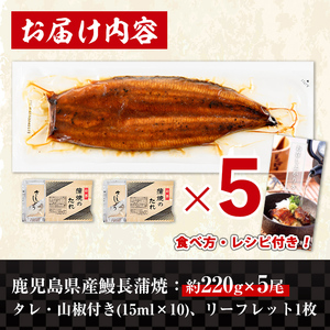 i1078-C-us 【2026年丑の日までに配送】＼特大サイズ／鹿児島県産 うなぎ蒲焼 5尾（約220g×5・計約1100g） たれ 山椒付きうなぎ 鰻 ウナギ 特大 特大サイズ 約220g 蒲焼き 国産 鹿児島県産 焼きたて 生産量日本一 真空パック おかず 晩御飯 特別な日 土用の丑の日 【薩摩川内鰻】