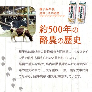 ミルクぷりん 安納芋 モンブラン  ＋ 冷やし大学芋 　NFN637 【250pt】 // 安納芋 きび糖 黒糖  種子島産生乳のみ 