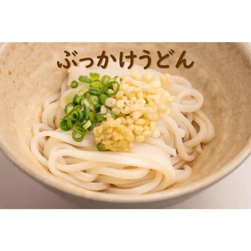 麺棒/　讃岐うどん　半生　20食セット