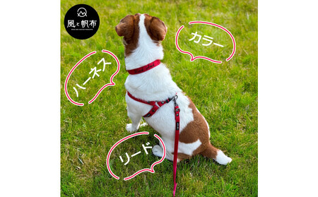 香川県産 丈夫でやさしい綿帆布ドッグカラー 天然コットンの犬用首輪 Mサイズ、レッド、1点