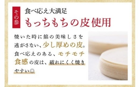 ヤマトポークの大和餃子 120個入り