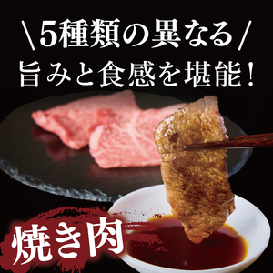 常陸牛5種焼肉セット希少部位入り（４～５人前１kg)（NW-13）