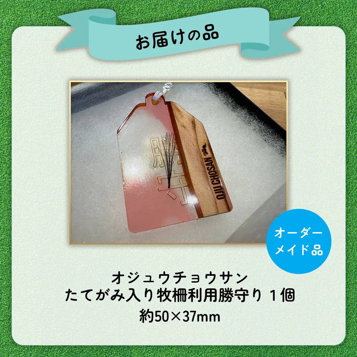 【御守り】オジュウチョウサンたてがみ入り牧柵利用勝守り BRTV001