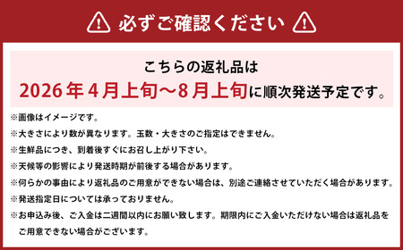 【2026年4月上旬より順次発送】訳あり 河内晩柑 5kg【えひめの町（超）推し！（愛南町）】(374)