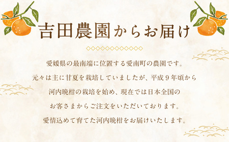 【2026年4月上旬より順次発送】贈答用 河内晩柑 10kg【えひめの町（超）推し！（愛南町）】(383-1)