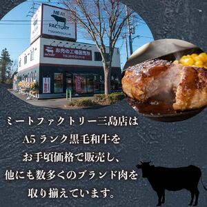 ハンバーグ 160g×12個 A5ランク 黒毛和牛 手ごねハンバーグ 冷凍 国産