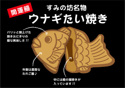 うなぎたい焼き 5個  すみの坊 セット 個包装 冷凍 小分け 静岡県 三島市