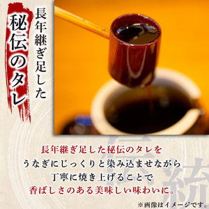 うなぎ蒲焼 10尾 ハーフカット20枚 国産うなぎ 冷凍