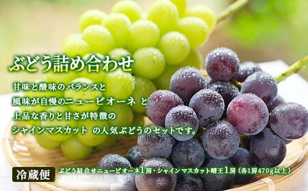 フルーツ 2026年 先行予約 晴れの国 岡山 の フルーツ 定期便 6回コース 桃 ぶどう 梨 岡山県産 国産 フルーツ 果物 ギフト