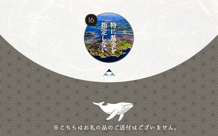 【返礼品なし】北海道室蘭市・応援寄附100,000円（寄附のみの応援受付 ※返礼品はございません） MROBR008