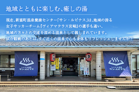 源泉掛け流し 天然温泉［サン・ルピナス］温泉チケット11枚 新富町温泉健康センター 入浴券 無期限 温泉利用券【C454】