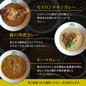 【食べ比べ】人気スパイスカレー6種セット