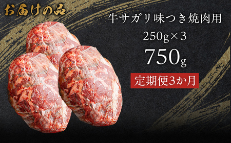 【3か月定期便】牛サガリ味つき焼肉用 750g (250g×3) MROBM029