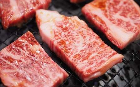 【訳あり】【A4～A5】 長崎和牛 焼肉用 約1kg （約500g×2パック） ／ 和牛 牛肉 ぎゅうにく お肉 おにく 肉 にく バラ 肩ロース モモ 焼肉 やきにく バーベキュー BBQ 長崎県 時津町 冷凍