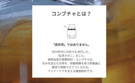 発酵飲料コンブチャ【KBT】煎茶/ホーリーバジル　200ml 各4本（8本セット）｜健康 美容 腸内環境 免疫 添加物不使用 国内製造