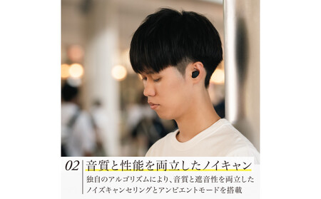 ANC完全ワイヤレスイヤホン final ZE300 GREIGE / ZE3000の小型モデル /ノイズキャンセリング/ノイキャン/外音取り込み/マイク付き