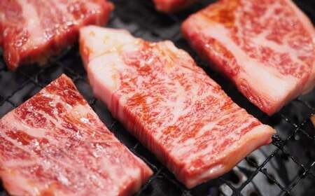 【訳あり】【A4～A5】 長崎和牛 焼肉切り落とし （肩ロース・バラ） 約1kg （約500g×2パック） ／ 和牛 牛肉 ぎゅうにく お肉 おにく 肉 にく 肩ロース バラ カルビ 切り落とし 焼肉 やきにく BBQ 長崎県 時津町 冷凍