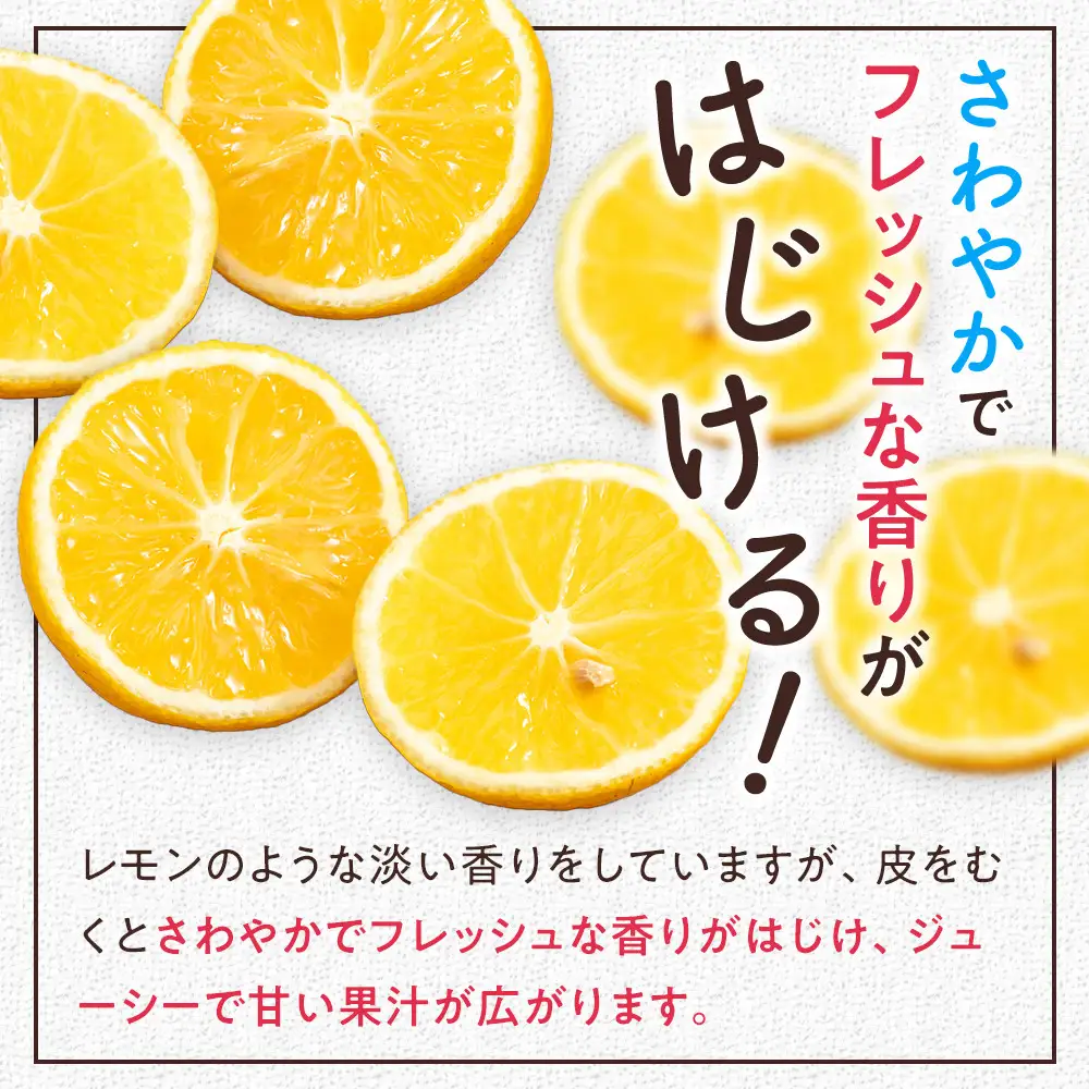 希少フルーツ】熟成・湘南ゴールド(L・Mサイズ)3kg 2027年3月上旬～3月