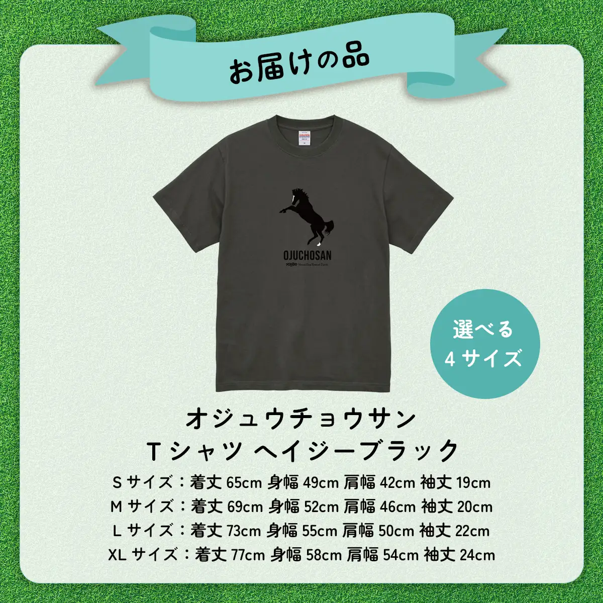 【オジュウチョウサン】Ｔシャツ _Ｓサイズ（ヘイジーブラック）  BRTV004-1