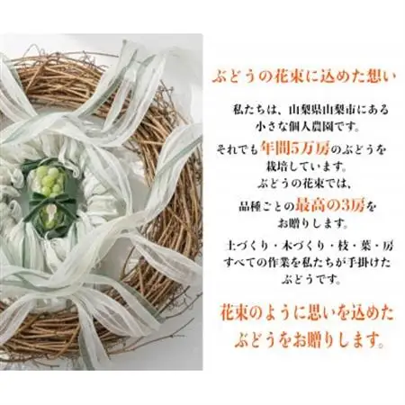 サンシャインレッド 富士の輝 シャインマスカット 2kg 3房(各1房)【配送不可地域：離島】【1694811】