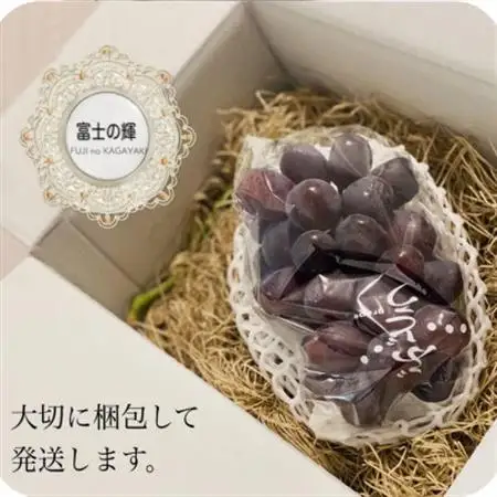 富士の輝 計600g 1房 山梨県産【配送不可地域：離島】【1694814】