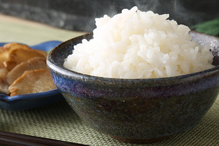 米【令和7年産】サキホコレ【白米】5kg（5kg×1袋）
