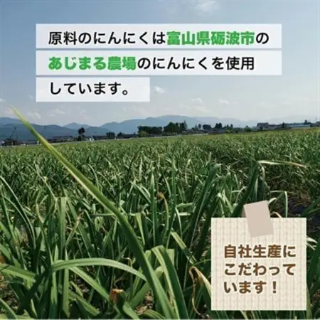 富山県産熟成黒にんにく 100g×3袋【1696881】